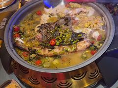 -令狐冲·炭烤活鱼(宝龙店)