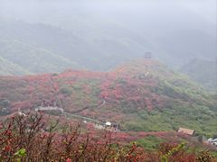 -大围山国家森林公园