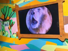 -佛山科学馆