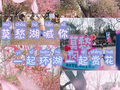-莫愁湖公园