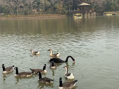 -艾溪湖湿地公园