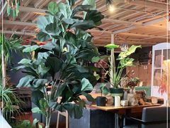 -84那年咖啡馆(李沧万达店)