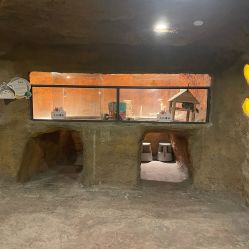 -酷嗒动物文化乐园(cutezoo西溪乐天城店)