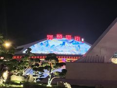 -唐山河头老街国丰维景度假大酒店
