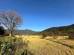 -塔川景区