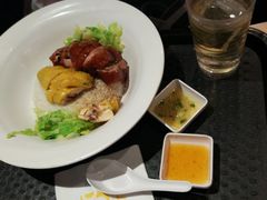 烧鸭拼白切鸡饭-大家乐(广州中华广场店)