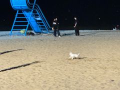 -海云台海滩