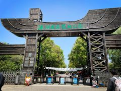 -溱湖国家湿地公园