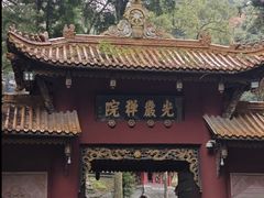 -凤栖山