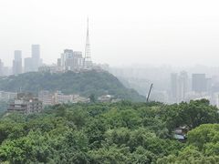 -鹅岭公园瞰胜楼