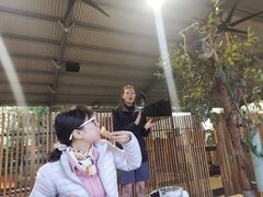 -可伦宾野生动物保护区