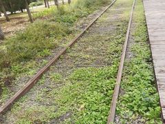 -永定河休闲森林公园