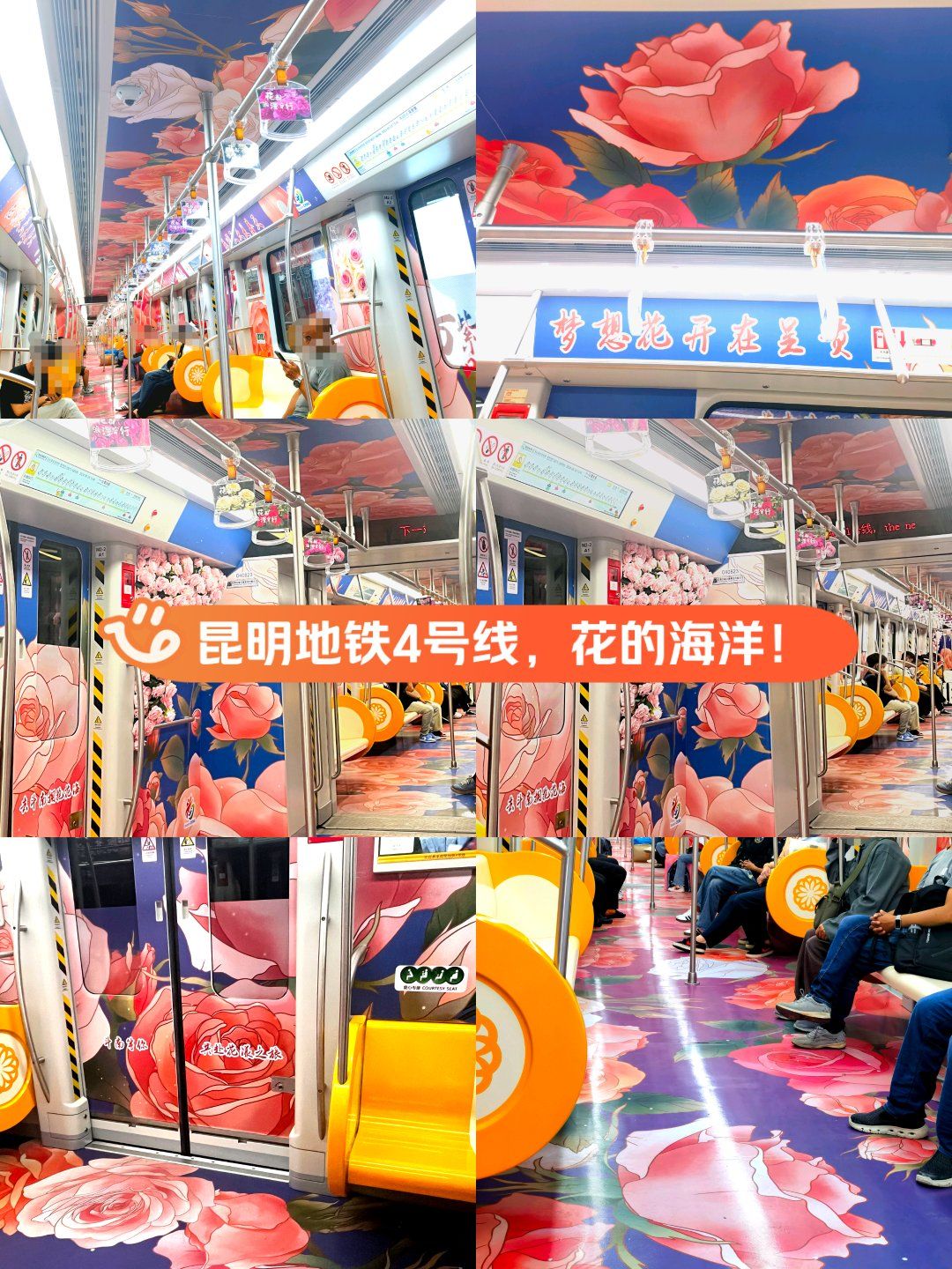春城浪漫,昆明地铁四号线!