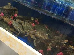 水产区-春华海鲜城(广场西苑店)