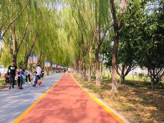 -大兴滨河森林公园