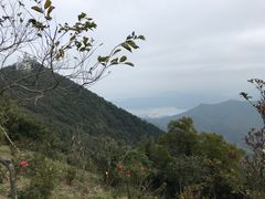 -梧桐山风景名胜区