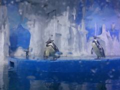 -多彩贵州城极地海洋世界