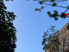 -火炉山森林公园