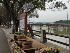 -大湾区中央湿地公园