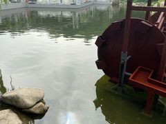 -唐城墙遗址公园