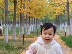 -汉长安城未央宫国家考古遗址公园