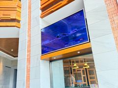 -浅深Cheersum(曹杨店)