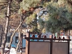 -长春市南湖公园