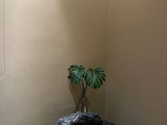 -月龍吟(朝龙汇店)