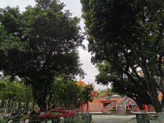 -金砂公园