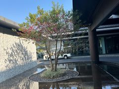 -广州逸林假日酒店·四季桃源中餐厅(白云山风景区店)