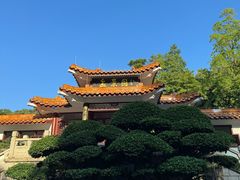 -深圳仙湖植物园