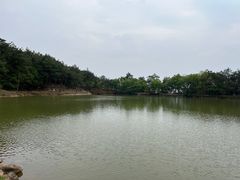 -南京市无想山景区