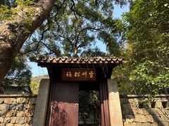 -杭州植物园