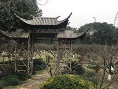 -白马涧龙池景区