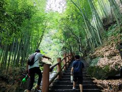 -藏龙百瀑风景区