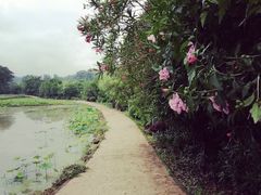 -韶山毛泽东同志故居