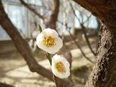 -北京鹫峰国家森林公园