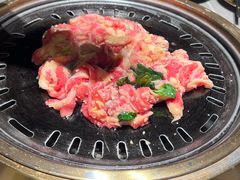 -杨小佳·齐齐哈尔烤肉·烤串(广州店)