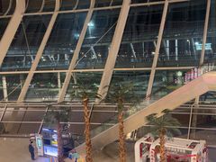 -合肥新桥国际机场-航站楼
