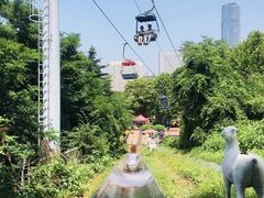 -富斯特索道