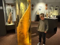 -冰岛阴茎博物馆