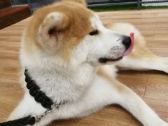 -YCHL Studios健身工作室(市二宫店)