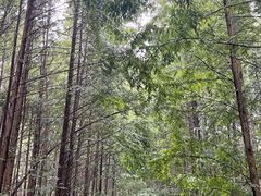 -桤木河湿地公园