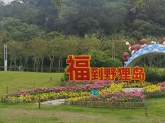 -野狸岛