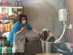 -PETKIT小佩宠物(古北店)