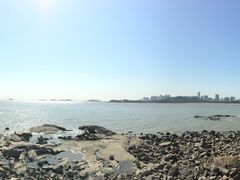-野狸岛