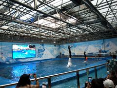 -石林冰雪海洋世界