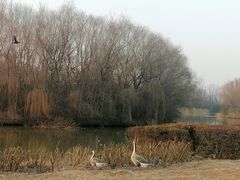 -西安浐灞国家湿地公园