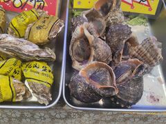 -俏东方·海味水饺·青岛菜(崂山店)