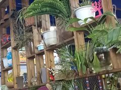 -冷峰马家鸡蛋牛奶醪糟(八朗学五巷店)